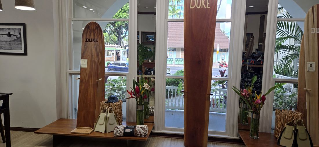 Boards and flowers in the window bay, with the street outside.